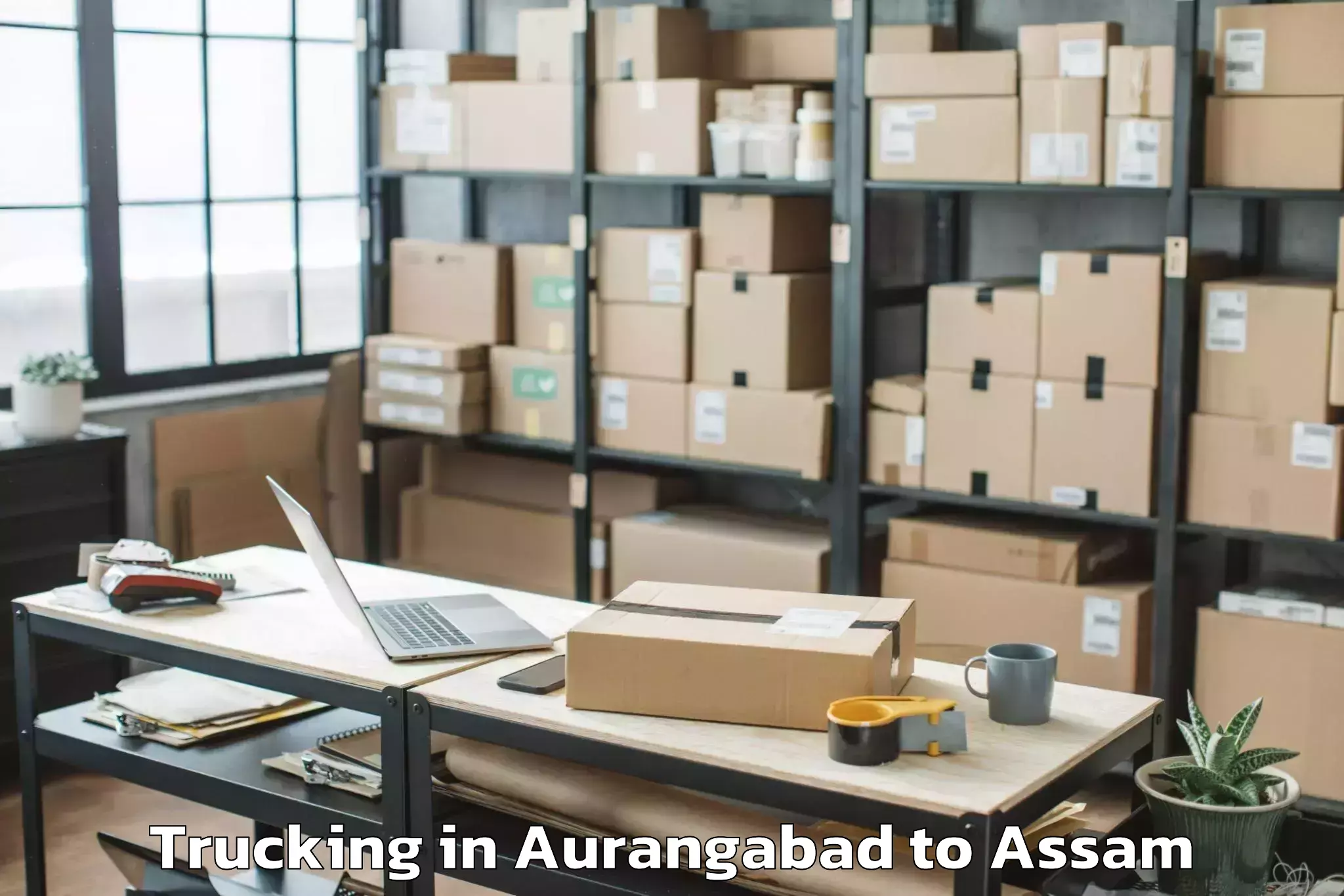 Easy Aurangabad to Goshaingaon Trucking Booking